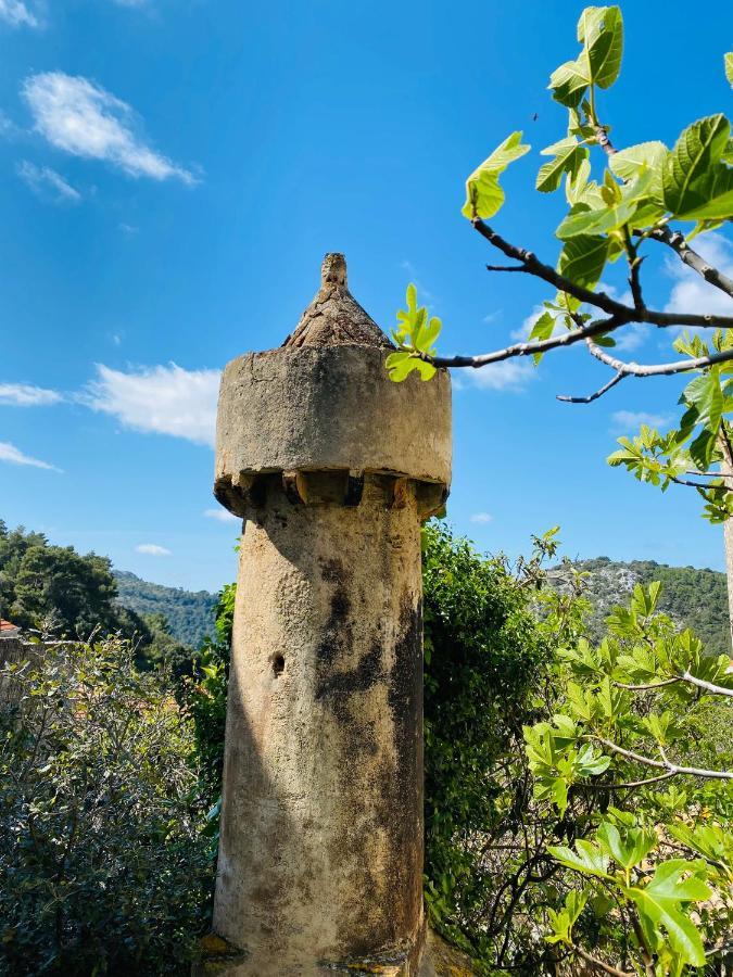 Villa Iva Lastovo Uble المظهر الخارجي الصورة