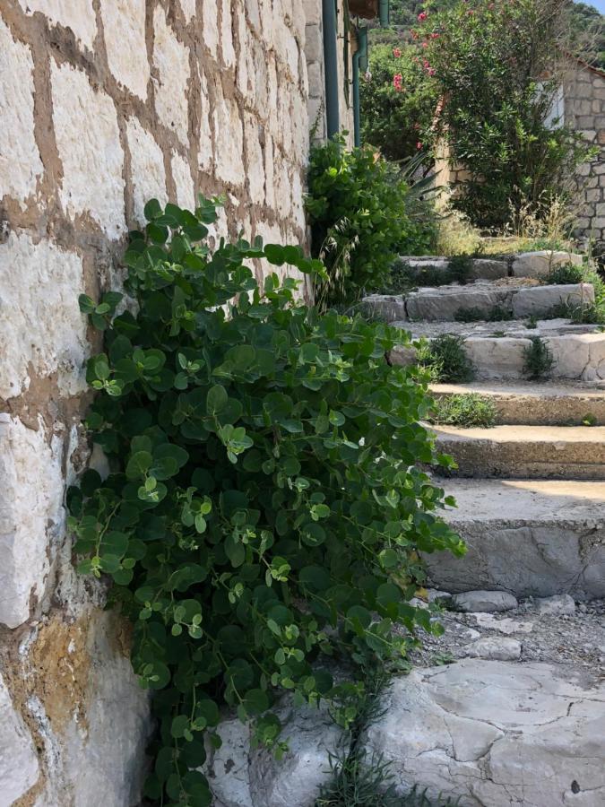 Villa Iva Lastovo Uble المظهر الخارجي الصورة